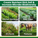 TeraGanix EM-1 Soil Conditioner (1 Btl = 16 Gal), Microbial Inoculant Concentrate, Plant Growth, Root Enhancer, Liquid Probiotic for Soils & Plants, Seed Germination, Garden, Lawn Care (16 fl oz) by GreenHaven Gardens
