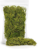 Premium Spanish Moss in Spring Green| Natural Preserved - Great Ground Cover - Filler for Potted Plants - by GARDENERA - 4 Quart Bag by GreenHaven Gardens
