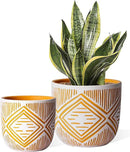 2 Boho Style Terra Cotta Pots, 6 Inch Yellow Plant Pots with Drainage Holes, Suitable for Indoor Plants Ferns,Vines, Succulents and Outdoor Plants Growing, a Gift for Plant Lovers by GreenHaven Gardens