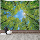 AMM Nature Forest Tree Celling Tapestry Lush Green Treetops Sunlit Tapestry for Bedroom Aesthetic Sky Sunlight Canopy Leaves Landscape Tapestries Wall Hanging for Living Room Dorm Office 48 x 36 Inch by CozyNest Decor