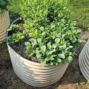 Vego garden 32" Tall 42" Round Raised Garden Bed Raised Bed Planter Box for Vegetables Flowers Patio-Pearl White by GreenHaven Gardens