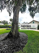 SIDONG 10 LB Black River Rocks, 0.3-0.5 Inches High Polished Pebbles for Indoor Plants, Aquarium Rocks Used in Fish Tank, Decorative Stones for Plants, Vases, Home Décor, Crafting, Garden Landscaping by GreenHaven Gardens