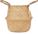 Tree Basket – Wicker Seagrass Planter for Tall Indoor Fake Olive House Plants, Decorative Rattan Baskets for 7-8 Inch Small Plant Pots (Original, Medium) by GreenHaven Gardens