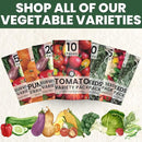 Herb Seeds | 10 Invidiual Packs | 2025 Season | Non-GMO | Mint, Parsley, Basil, Thyme & More! | for Planting Indoor & Outdoor | by Family Sown by GreenHaven Gardens
