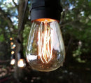 Hometown Evolution, Inc. 50 Foot E26 Commercial Edison Bulb String Lights with 25 Suspended Sockets and S14 Lantern Edison 11 Watt Bulbs by GreenHaven Gardens