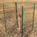 Black PVC Coated Welded Wire Fence 48 Inch x 25 Foot, 2 Inch x 3 Inch 16GA, Garden Border Fencing Roll Vinyl Coating Metal Wire Mesh for Yard Vegetable Plant Protection Poultry Netting by GreenHaven Gardens