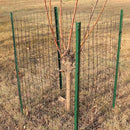 Black PVC Coated Welded Wire Fence 48 Inch x 50 Foot, 2 Inch x 3 Inch 16GA, Garden Border Fencing Roll Vinyl Coating Metal Wire Mesh for Yard Vegetable Plant Protection Poultry Netting by GreenHaven Gardens