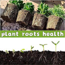 240 Cells Peat Pots Seed Starter Tray 24 Packs Biodegradable Seedling Pots Germination Trays Peat Pot for Seedling Organic Seed Starting Trays kit with 24 Labels 2 Transplant Tools by GreenHaven Gardens