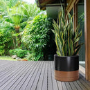 D'vine Dev 14 Inch Ceramic Planter Pot with Drainage Hole and Saucer, Indoor Cylinder Round Planter Pot, Black/Speckled Tan, 94-O-G-7 by GreenHaven Gardens