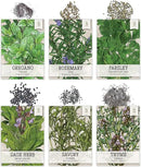 Seed Needs Herb Seeds Variety Pack Culinary Herb Collection (12 Individual Packets for Planting Indoors or Outdoors) Grow Your Own Herb Garden - Heirloom, Non-GMO by GreenHaven Gardens