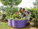 Galvanized Raised Garden Beds Outdoor // Planter Raised Beds for Gardening, Vegetables, Flowers // Large Metal Garden Box (Purple) // Tool-Free Assembly by GreenHaven Gardens