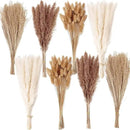 200PCS Dried Flower Bouquet – Pampas Grass, Floral Decor for Home, Wedding, and Boho Style | Perfect for Vases, Fall, Spring, Summer, and Winter Arrangements by CozyNest Decor
