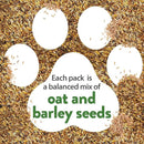 HOME GROWN 30,000+Cat Grass Seeds (6oz) 𝗡𝗢𝗡-𝗚𝗠𝗢 𝗨𝗦𝗔 Heirloom Barley & Oat Mix – Refill for Indoor Cat Grass Growing Kit – Safe Healthy Green Grass for Cats – Pet Grass for Eating & Digestion by GreenHaven Gardens