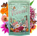 Wildflower Seeds Bulk - Meadow Wildflower Seed Mix, 5 Lbs Bulk, Annual & Perennial Wildflowers Seeds for Planting, Wild Flower & Grass Garden Mixture, Mountain Valley Seed Company by GreenHaven Gardens