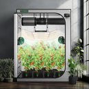 VIVOSUN G558 60"x60"x80" Grow Tent, 5x5 FT Advanced Gray Mylar Hydroponic Tent with 22mm Thickened Poles, Observation Window and Floor Tray for Plants for VSF6450 by GreenHaven Gardens