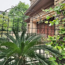 2 Pack Metal Garden Trellis 86.7" H Garden Fence Rustproof Trellis for Climbing Plants Support Roses Flower Outdoor Lawn, Black 7.2 FT Tall by GreenHaven Gardens