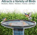 Sunnydaze 21" H Ceramic Bird Bath for Outside - Hand-Painted Outdoor Bird Bath Bowl, UV/Frost-Resistant Finish - Galaxy Blue - Ribbed Pedestal by GreenHaven Gardens