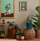 D'vine Dev 8 Inch Ceramic Planter Pot with Drainage Hole and Saucer, Indoor Cylinder Round Planter Pot, Teal, 94-O-D-9 by GreenHaven Gardens