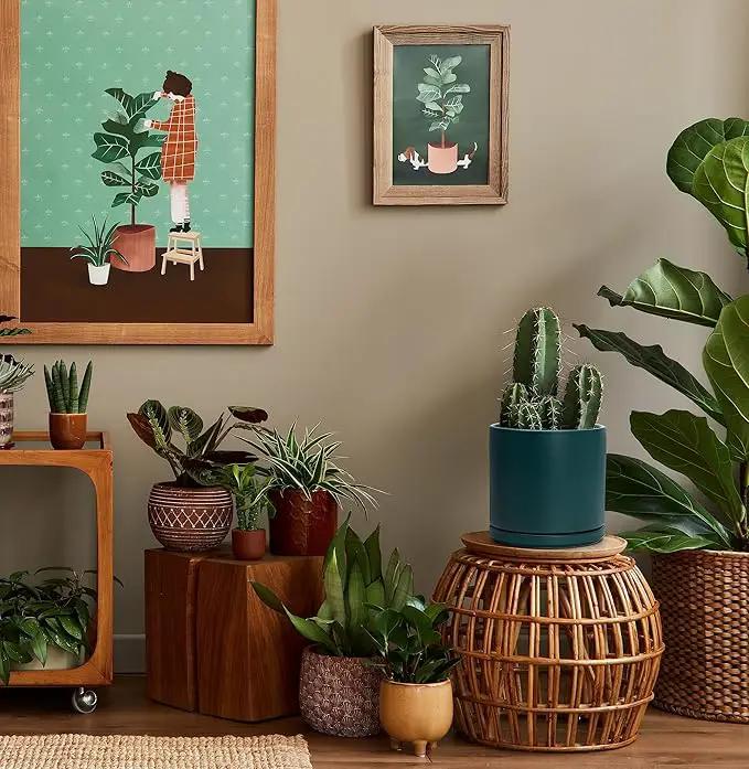 D'vine Dev 8 Inch Ceramic Planter Pot with Drainage Hole and Saucer, Indoor Cylinder Round Planter Pot, Teal, 94-O-D-9, photo 6 of 7