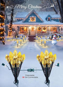 Brightown 2 Pack Strawberry C9 Christmas Pathway Lights Outdoor - Total 34.8 Feet 20 LED Christmas Walkway Lights, Christmas Lights Outdoor Decorations for Yard Lawn Holiday Outside, Warm White by GreenHaven Gardens