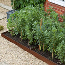 Worth Garden 6-Pack Cor-Ten Steel Landscape Edging with Black Protection Strips - Rust Patina Finish 40" L x 8" H (20Ft Total) - Hammer-in 14-Gauge Metal Corten Lawn Yard Edging Border w/ 7 Clips by CozyNest Decor
