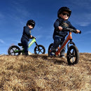 Strider 12” Sport Bike - No Pedal Balance Bicycle for Kids 1 to 4 Years - Includes Safety Pad, Padded Seat, Mini Grips & Flat-Free Tires - Tool-Free Assembly & Adjustments by TinyTreasures Baby Boutique