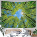 AMM Nature Forest Tree Celling Tapestry Lush Green Treetops Sunlit Tapestry for Bedroom Aesthetic Sky Sunlight Canopy Leaves Landscape Tapestries Wall Hanging for Living Room Dorm Office 80 x 60 Inch by CozyNest Decor