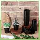 Yaomiao 200 Pcs 2 Inch Black Mini Plastic Plant Pot Nursery Seedling Pots Seed Starter with Drainage Holes for Indoor Outdoor Garden Succulent Plants Cuttings Transplanting by GreenHaven Gardens