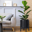D'vine Dev Ceramic Planter with Ebony Stand - 12 Inch Modern Round Flower Pot with Wood Planter Holder, Black, 55-B-H-2 by CozyNest Decor