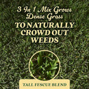 O.M. Scott and Sons Tall Fescue Blend Grass Seed, Fertilizer and Soil Improver, Naturally Crowds Out Weeds, Covers Up to 2,000 sq. ft., 8 lbs. by GreenHaven Gardens