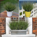 16PCS 17.3" Fake Plants Artificial Wheat Grass Greenery Plastic Plants Fake Grass Artificial Plants for Outdoor Decor Artificial Grass Plant with Greenery Stems for Indoor Home Decoration by CozyNest Decor