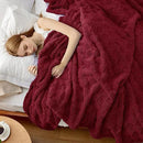 Bedsure GentleSoft Blankets Queen Size for Bed - Super Soft Cozy Blanket for Women Men Girls, Large Fuzzy Fleece Throw for Bedroom Decor, Red, 90x90 Inches by CozyNest Decor