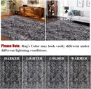 COZYLOOM Black Rug for Living Room 10x13 Machine Washable Area Rugs Modern Abstract Door Mats Non Slip Stain Resistant Geometric Accent Rug for Bedroom, Dining Room, Nursery by TinyTreasures Baby Boutique