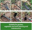 Set of 6 Gardening Tool Set, Rust-Resistant Handy Tools for Gardening, Ideal Gardening Gift Set, Including Trowel, Weeder, Hoes, and Rakes by GreenHaven Gardens