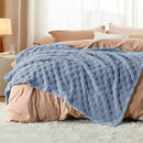 Bedsure GentleSoft Twin Blanket for Bed Ashley Blue - Super Soft Cozy Blankets for Women Men Girls, Cute Fuzzy Fleece Throws for Bedroom Couch, 60x80 Inches by CozyNest Decor