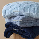 Bedsure GentleSoft Blankets Queen Size for Bed - Super Soft Cozy Blanket for Women Men Girls, Large Fuzzy Fleece Throw for Bedroom Decor, Ashley Blue, 90x90 Inches by CozyNest Decor
