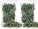 Premium Spanish Moss in Basil| Natural Preserved - Great Ground Cover - Filler for Potted Plants - by GARDENERA - 1 Quart Bag by GreenHaven Gardens