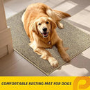JSEI Dirt Trapper Door Mat 24"x36" Non-Slip Washable Entrance Mat, Dog Doormats, Absorbent & Fade-Resistant Floor Mats, Low Profile Welcome Mats for Entryway, Front Door, and Inside Entrance, Beige by CozyNest Decor