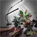 Bloom Lume LED Grow Lights for Indoor Plants Full Spectrum - Features Multi-Mode Color Spectrums, Dimmable, Auto Timer, Clip on Goosneck Plant Lamp by GreenHaven Gardens