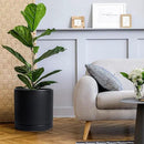 D'vine Dev 12 Inch Ceramic Planter Pot with Drainage Hole and Saucer, Indoor Cylinder Round Planter Pot, Black, 94-O-F-2 by GreenHaven Gardens