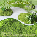 Potanro Faux Green Moss 5.3oz Artificial Fake Plant Moss Preserved Moss for Potted Plants Indoor Plants, Crafts, Planters, Bonsai Artifcial, DlY Floral Decorative Moss, Garden Wedding Decor by CozyNest Decor