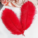 THARAHT Red Ostrich Feathers 12pcs Large Natural Bulk 16-18Inch 40cm-45cm for Wedding Party Centerpieces Halloween and Home Decoration Feathers by CozyNest Decor