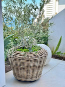 Rattan Kobo Indoor Outdoor Planter Basket with Plastic Pot Large 65 Gallon Soil Capacity by CozyNest Decor