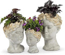 Abbott Collection Aphrodite Head Planter – Small Indoor and Outdoor Planter Pots - Whimsical Woman Statue Head Planter for Flowers and Succulents (6.5 inch, Grey/Gold) by GreenHaven Gardens