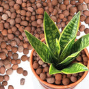 T4U Leca Clay Pebbles for Plants, 4 LBS 10-20 mm Clay Balls for Indoor Plants, Natural Clay Pebbles for Orchid Potting Mix, Hydroponic, Leca Pots, Plant Drainage, Garden Soil by GreenHaven Gardens