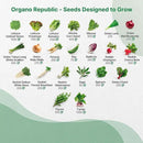 50 Winter Vegetable Garden Seeds Variety Pack - 43,450+ Non-GMO Heirloom Seeds for Outdoors & Indoor Home Gardening, Including Kohlrabi, Lettuce, Radish, Onion, Choy, Spinach, Cauliflower, Collards by GreenHaven Gardens