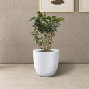 Kante 14 Inch Dia Round Concrete Planter, Indoor Outdoor Large Plant Pot with Drainage Hole and Rubber Plug for Home Patio Garden, Pure White by GreenHaven Gardens