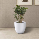 Kante 14 Inch Dia Round Concrete Planter, Indoor Outdoor Large Plant Pot with Drainage Hole and Rubber Plug for Home Patio Garden, Pure White by GreenHaven Gardens