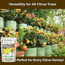 Professional Citrus Fertilizer + Vital Micronutrients; Perfect Balanced NPK for All Citrus; for Indoor and Outdoor Plants; Orange, Lime, Avocado and Lemon Tree Fertilizer (5 QUARTS) by GreenHaven Gardens