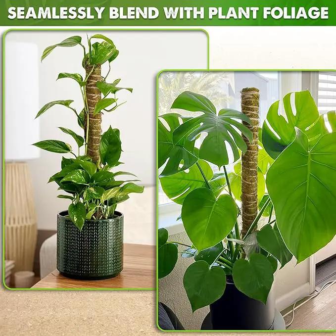 DUSPRO Natural Stackable Moss Pole for Plants Monstera Potted Plant Stakes for Indoor Plants Extendable Plant Pole Moss Sticks for Plants Climbing Vine Supporting Monstera Trellis 10Pcs 22'', photo 5 of 7